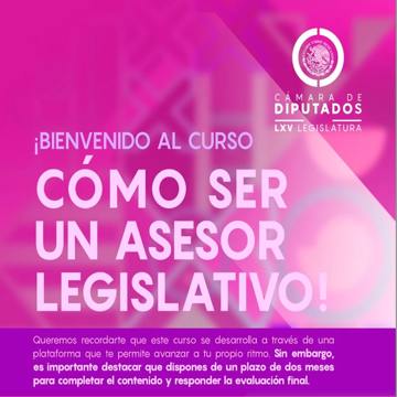 Como ser un asesor legislativo 